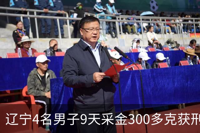 辽宁4名男子9天采金300多克获刑，村里砂土为何能淘金？土法筛金对人体和环境有何危害？